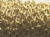 1 Meter of 7x4mm Bright Gold Chain